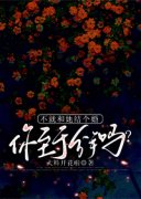 江若离高洋林素素主角的小说|江若离高洋