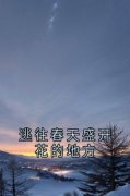 许清涟梁宥礼为主角的小说叫什么名字