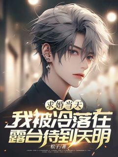 《求婚当天，我被冷落在露台待到天明》小说大结局在线试读|程放聂嘉雪小说阅读