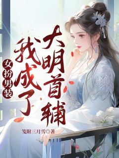 《女扮男装:我成了大明首辅》陆淇陆筠全文免费试读
