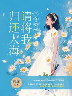《三年婚姻，请将我归还人海》小说章节精彩阅读|之洛许之年小说全文
