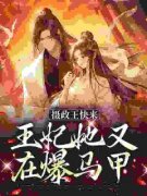 《摄政王快来，王妃她又在爆马甲》小说