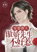 《傲娇先生不好惹》小说免费阅读|时暮笙