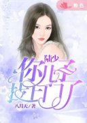 《陆少，你儿子找上门了！》小说精彩阅