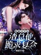 主角叫苏馨傅斯匀的小说|苏馨傅斯匀主角
