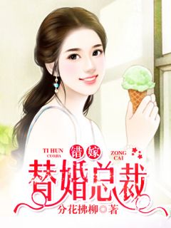 【火爆言情热文】错嫁替婚总裁沈柒贺逸宁小说全文免费试读