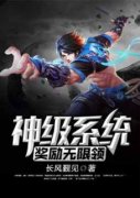 《神级系统奖励无限领》小说免费阅读