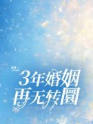 3年婚姻，再无转圜沈书柠傅言小说阅读