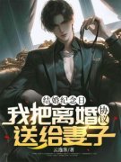 段怀川南笙笙是什么小说里面的主角|段怀