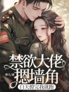 禁欲大佬摁墙角，白天撩完我就跑叶时韵