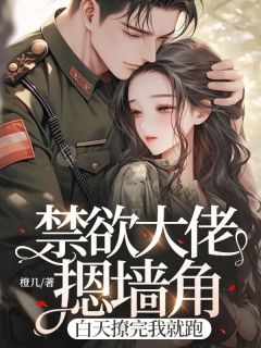 禁欲大佬摁墙角，白天撩完我就跑叶时韵蒋宵墨全文在线免费试读