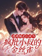 婉婉封奕森康铭小说已完结|《逃离缅北后
