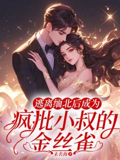 婉婉封奕森康铭小说已完结|《逃离缅北后成为疯批小叔的金丝雀》无弹窗阅读