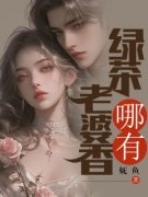 《老婆哪有绿茶香》小说完结版在线阅读