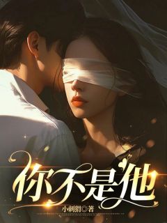 《你不是他》小说免费试读|《你不是他》最新章节列表