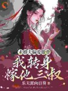 沈昭崔颢崔少卿是什么小说里面的主角