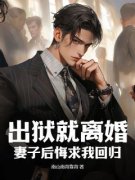 出狱就离婚，妻子后悔求我回归陈鸿沈如