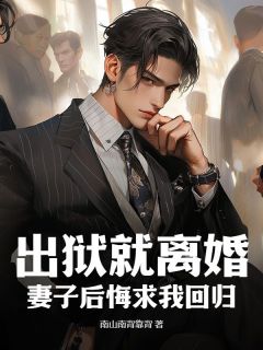 出狱就离婚，妻子后悔求我回归陈鸿沈如烟全文免费试读