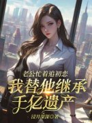 文若歆秦佑安是哪部小说的主角|小说主角