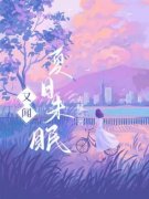 又闻夏日未眠小说夏未眠傅晏舟全章节阅