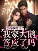 《想抢我物资？我家大鹅答应了吗！》舒