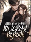 《甜撩，娇软孕妻被斯文教授夜夜哄》小
