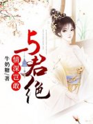 《情深岂敢与君绝》小说大结局在线试读