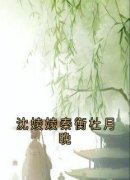沈婈婈秦衡杜月晚沈婈婈秦衡小说全文阅