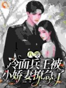 林冉冉陆霆轩小说结局|《八零，冷面兵王