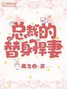 主角苏沐苏瑶的小说名字|《总裁的替身悍