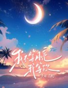我不等月亮，我等你(主角陆晚书宋严坤
