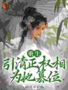 叶皖宁陆怀钰小说结局|《重生，引清正权