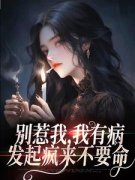 别惹我，我有病，发起疯来不要命小说免