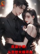 《反派小弟：从忽悠大嫂开始》林白叶清