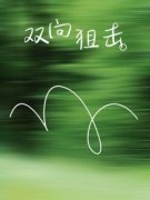 《双向狙击》完结版在线试读|《双向狙击
