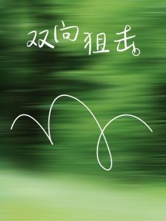 《双向狙击》完结版在线试读|《双向狙击》最新章节列表