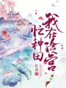 陆云萝寂无绝完结版|《云深情浅》|完整