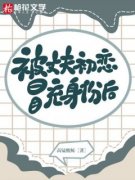 被丈夫初恋冒充身份后免费阅读|徐锦赵钧