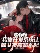《分手后，我靠开发系统让前女友高攀不