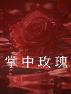 掌中玫瑰裴泽江晨雪全文在线免费阅读