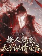 《太子妃撩人魅惑，太子***坠落》小说章