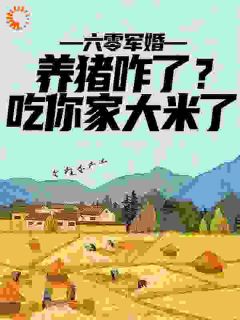 楚今禾秦昭西小说六零军婚：养猪咋了？吃你家大米了精彩阅读大结局