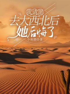 《我请愿去大西北后，她后悔了》小说大结局免费试读|陈文仲柳如烟小说全文
