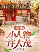 许大茂娄晓娥小说全文|《四合院：小人物