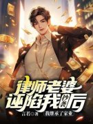 顾礼陆颖小说无广告|《律师老婆诬陷我抄