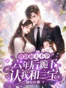 小说主角名叫宋时今傅寒舟|宋时今傅寒舟