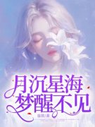 月沉星海，梦醒不见小说全文精彩章节免