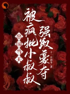 《出国当天，被疯批小叔叔强取豪夺》沈稚欢周临渊章节精彩阅读