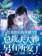 《迟来的后悔谁稀罕？总裁，夫人她另有