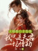精品小说《大婚那日才发现，我只是夫君